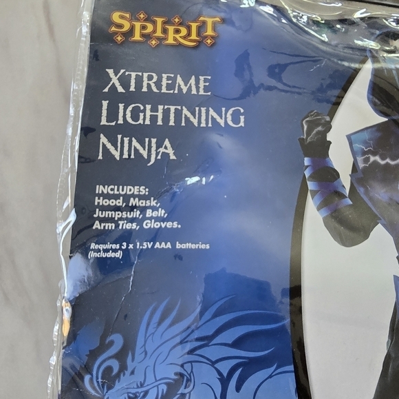 Spirit Halloween Ninja Costume Boys Blue Sz L 8-10 Full Set Jumpsuit Hood Mask - Picture 5 of 9